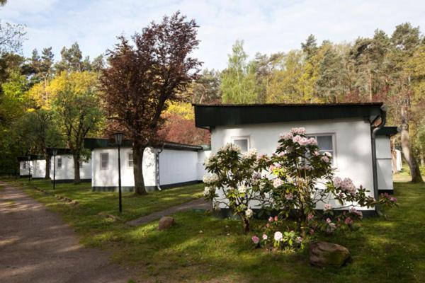 Meeressterne Ferienresort Damerow Koserow エクステリア 写真